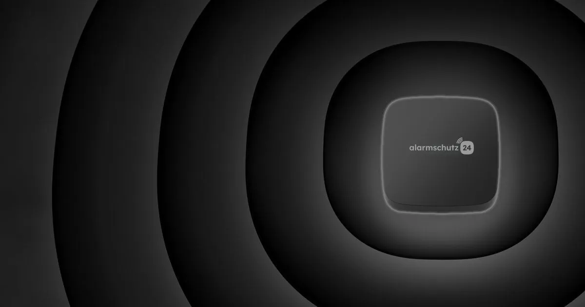 Alarmschutz24 Wassersensor – Funk-Wassersensor